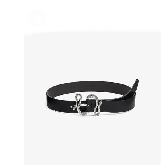 Express snake buckle belt